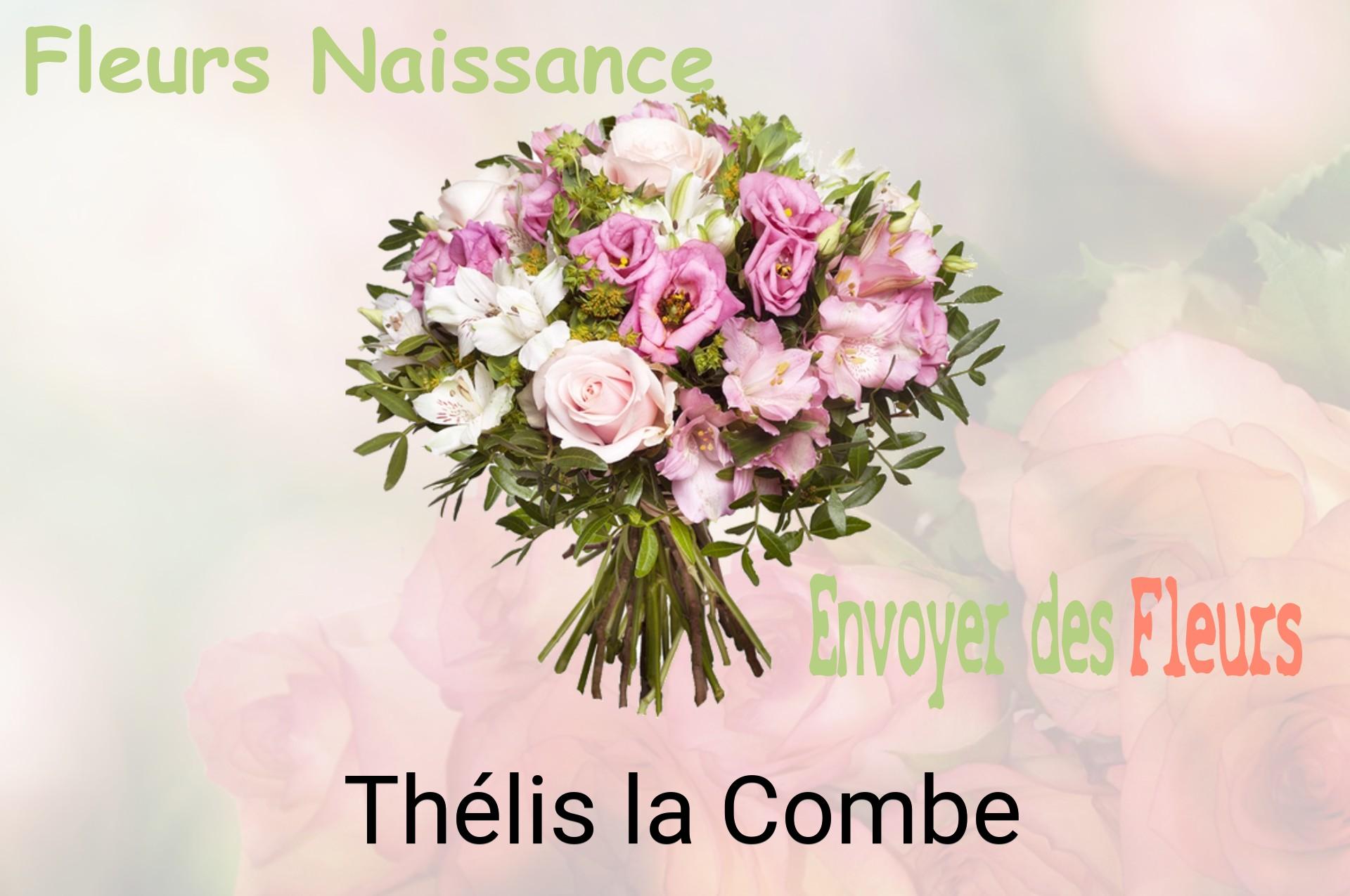 Bouquet de fleurs de naissance livré à Thélis-la-Combe
